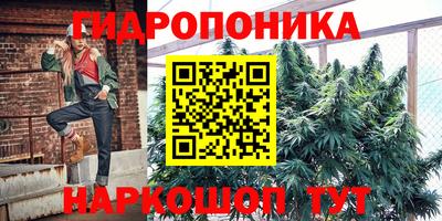 СК Лесосибирск