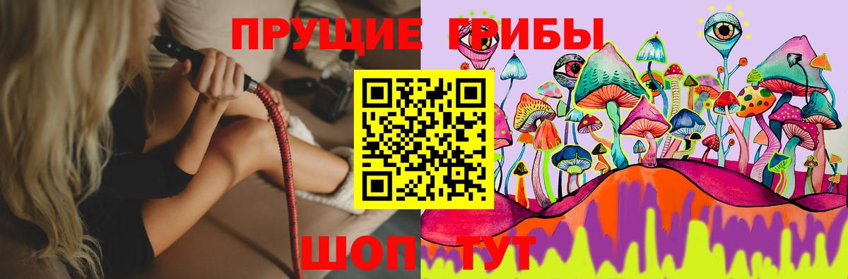 Калининград  Псилоцибиновые грибы Cubensis  Вход с VPN  Псилоцибиновые грибы Magic Shrooms 
